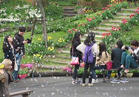 広いくじゅう花公園を歩きました