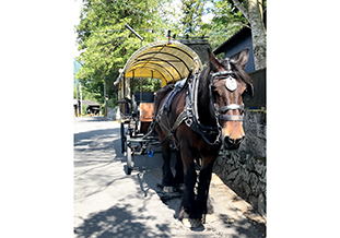 辻馬車での撮影の様子<br />（幌の上部にカメラ設置）