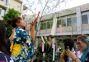 短冊を飾る留学生